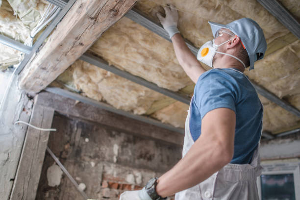 Best Eco-Friendly Insulation in Hunters Creek, FL