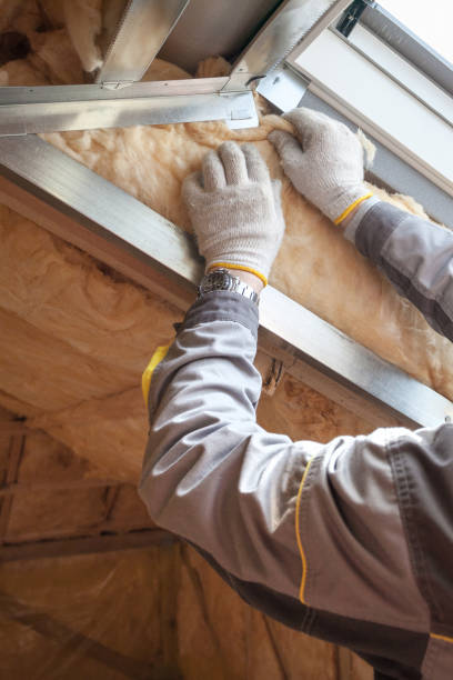 Best Commercial Insulation in Hunters Creek, FL